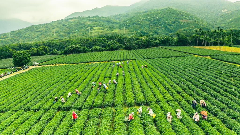 home appliances in Taiwan